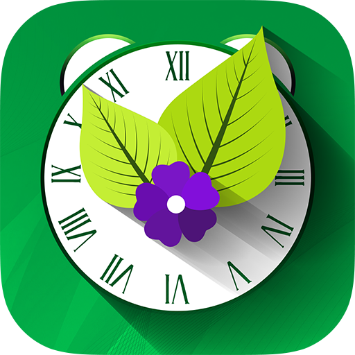 حديقة الخضروات Yum Garden