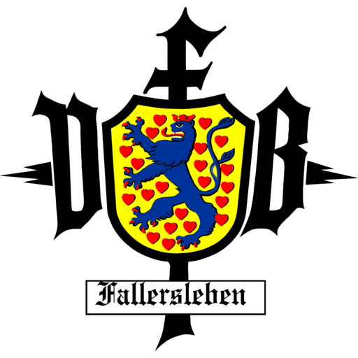 VfB Fallersleben Handball
