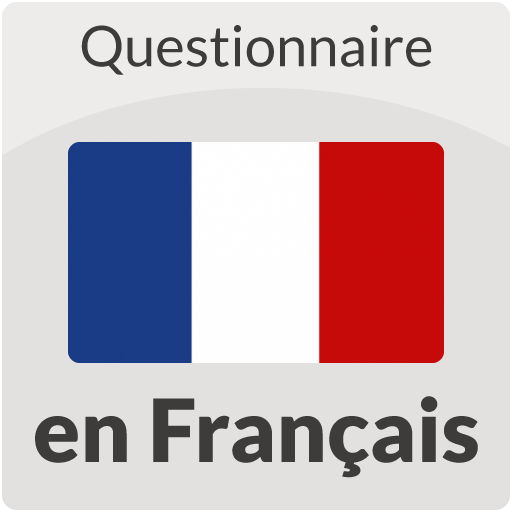 Questionnaire en Français