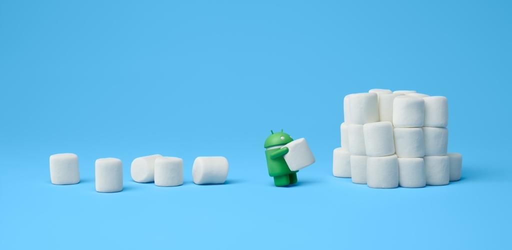 صورة Version für Play Store