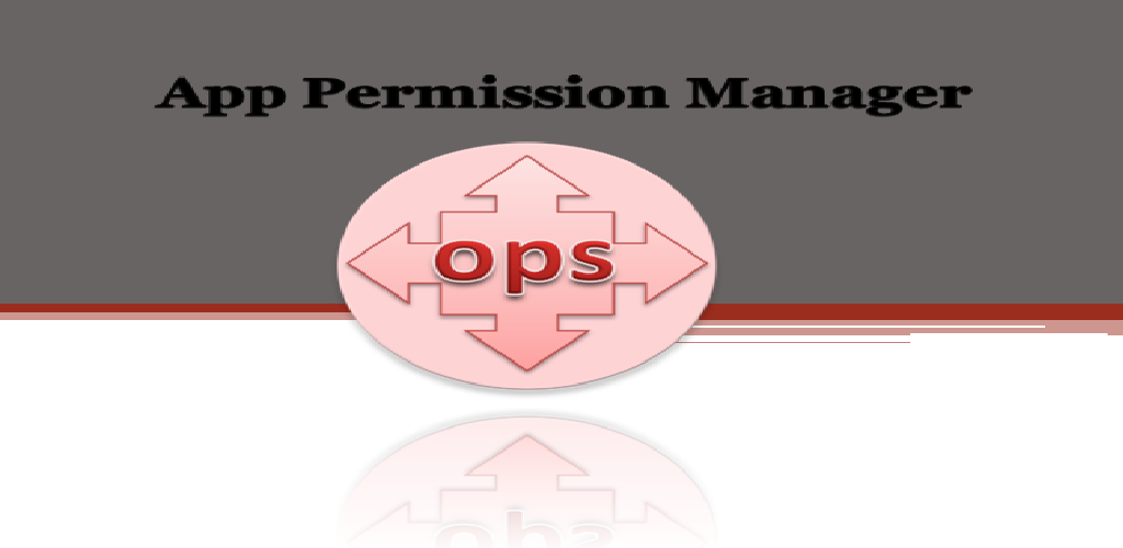 صورة App permission manager