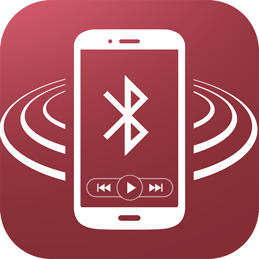 Dual iPlug P2 Remote Control