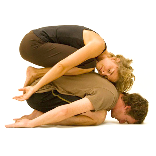 Asanas yoga poses for 2