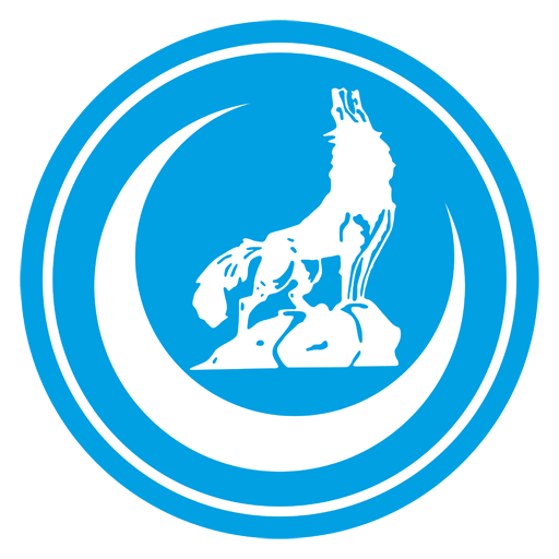 Radyo Turan