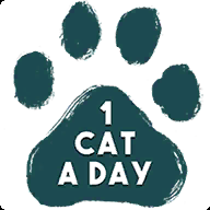 1 Cat a Day