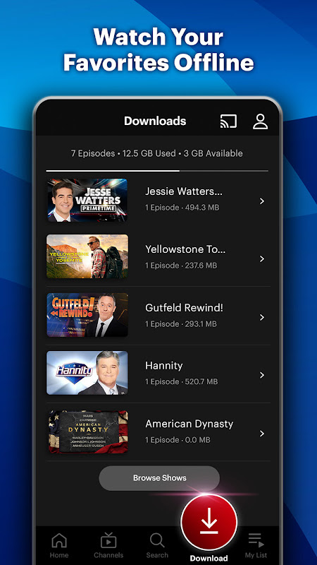 Screenshot 6
