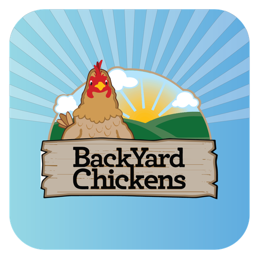 BackYard Chickens BYC