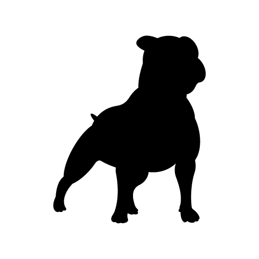 Cuidado con el Perro