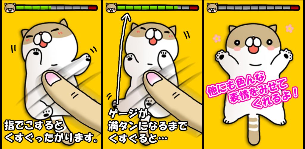 صورة こちょねこ