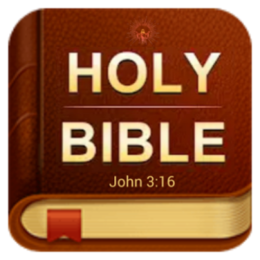 Bible Offline KJV + NIV + NLT
