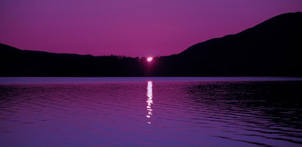 صورة Purple Wallpaper