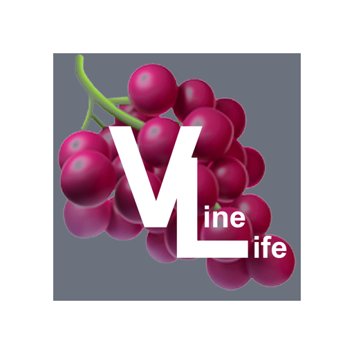 The Warehouse Church App