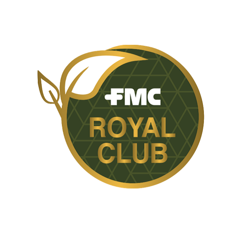 FMC Royal Club – For Teams