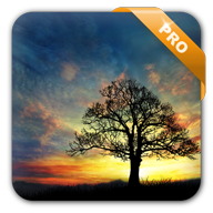 Sunset Hill Pro Live Wallpaper