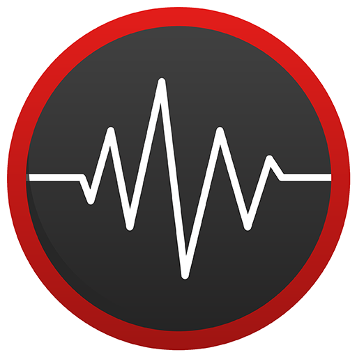 Safety Vision DX
