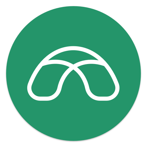 Brigit: Get $250. When Needed.