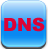 DNS Setting