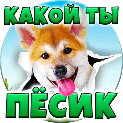Тест: Какой ты Пёсик?