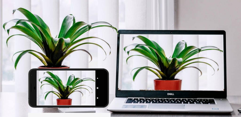 صورة Iriun 4K Webcam for PC and Mac