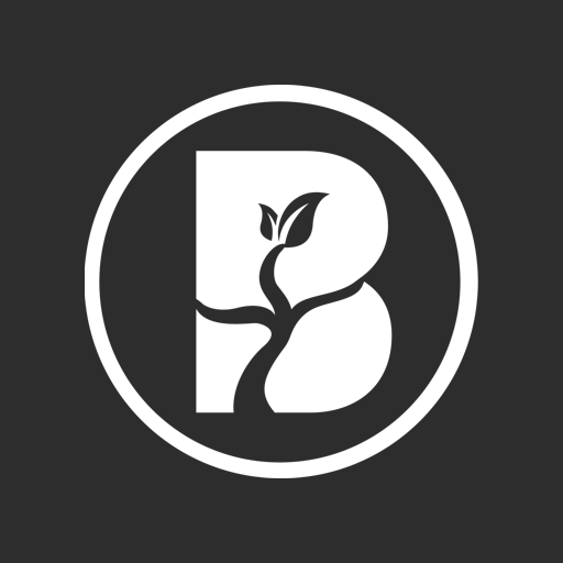 Branch Church Peabody